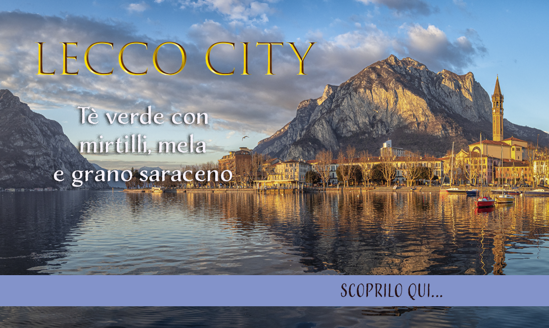 lecco city