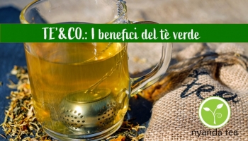 I benefici del tè verde: terza puntata