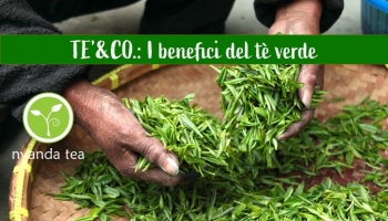 I benefici del tè verde: quarta e ultima puntata