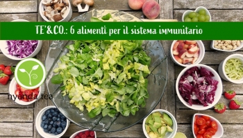 6 alimenti per rinforzare il sistema immunitario